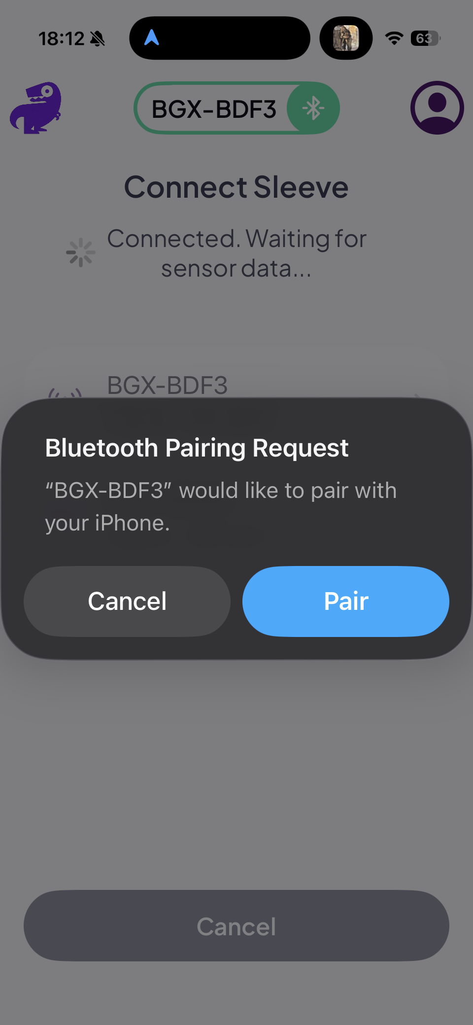 iOS Bluetooth Pairing Request modal