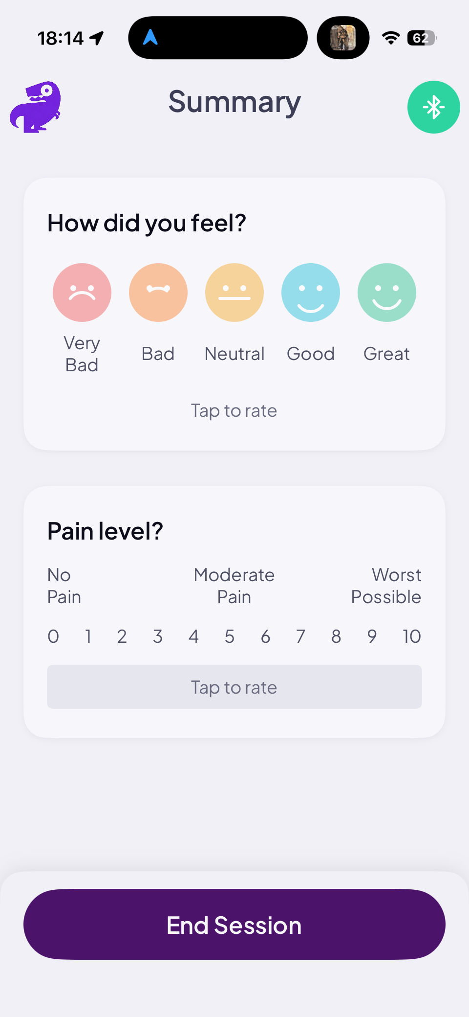 Summary screen with How did you feel emoji scale and Pain level 0-10 scale